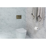 Meir Sigma 21 Dual Flush Plates for Geberit - Tiger Bronze