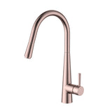 Kasper Pull-Out Kitchen Mixer