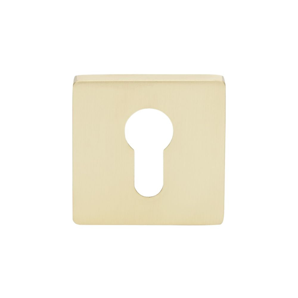 Astron Square Euro Escutcheon – Satin Brass