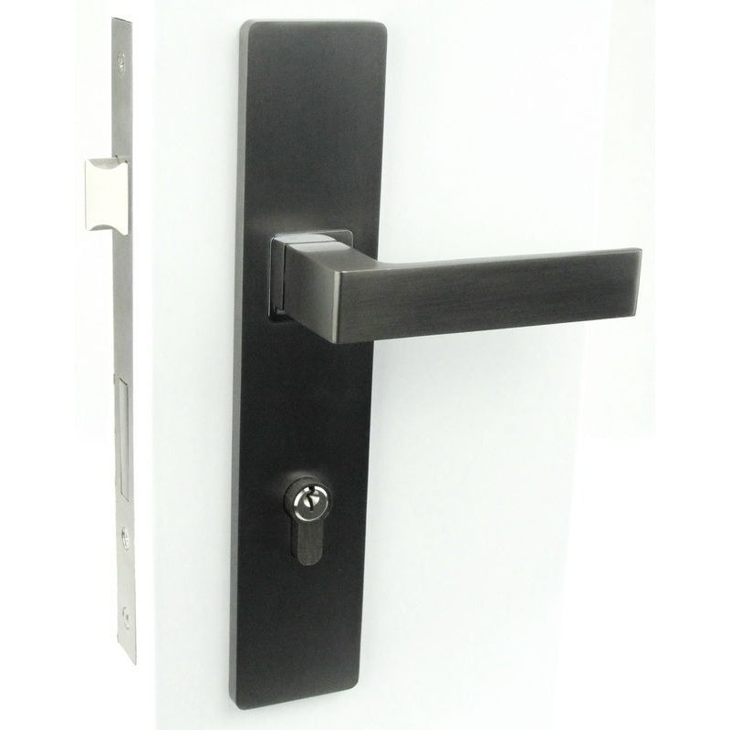 Avoca Satin Black Nickel -Entrance