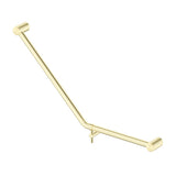 Mica Care Grab Rail - 45 Degree - 450x650mm