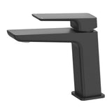 Tiago Basin Mixer