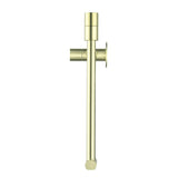 Mica Pot Filler - French Gold