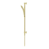 Mica Shower Rail - Inbuilt Inlet - French Gold