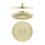 Mica 6H Shower Head