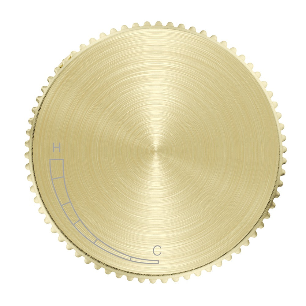 Mica Fluted Progressive Shower Mixer - French Gold