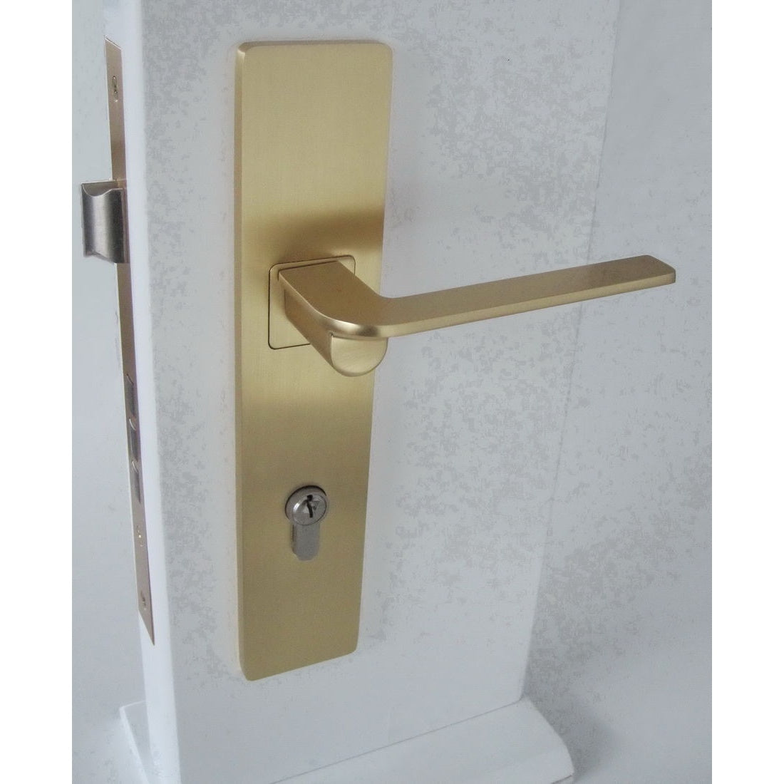 Elgin RND Satin Brushed Gold - Entrance