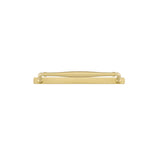 Sarlat Cabinet Pull with Backplate - CTC256mm
