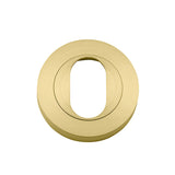 Oval Escutcheon - Round in Brushed Brass - angled product view (10 of 10)