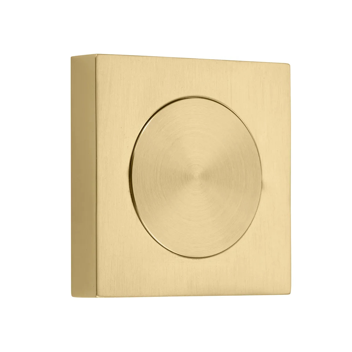 Blank Rose - Square in Brushed Gold PVD - close-up detail view