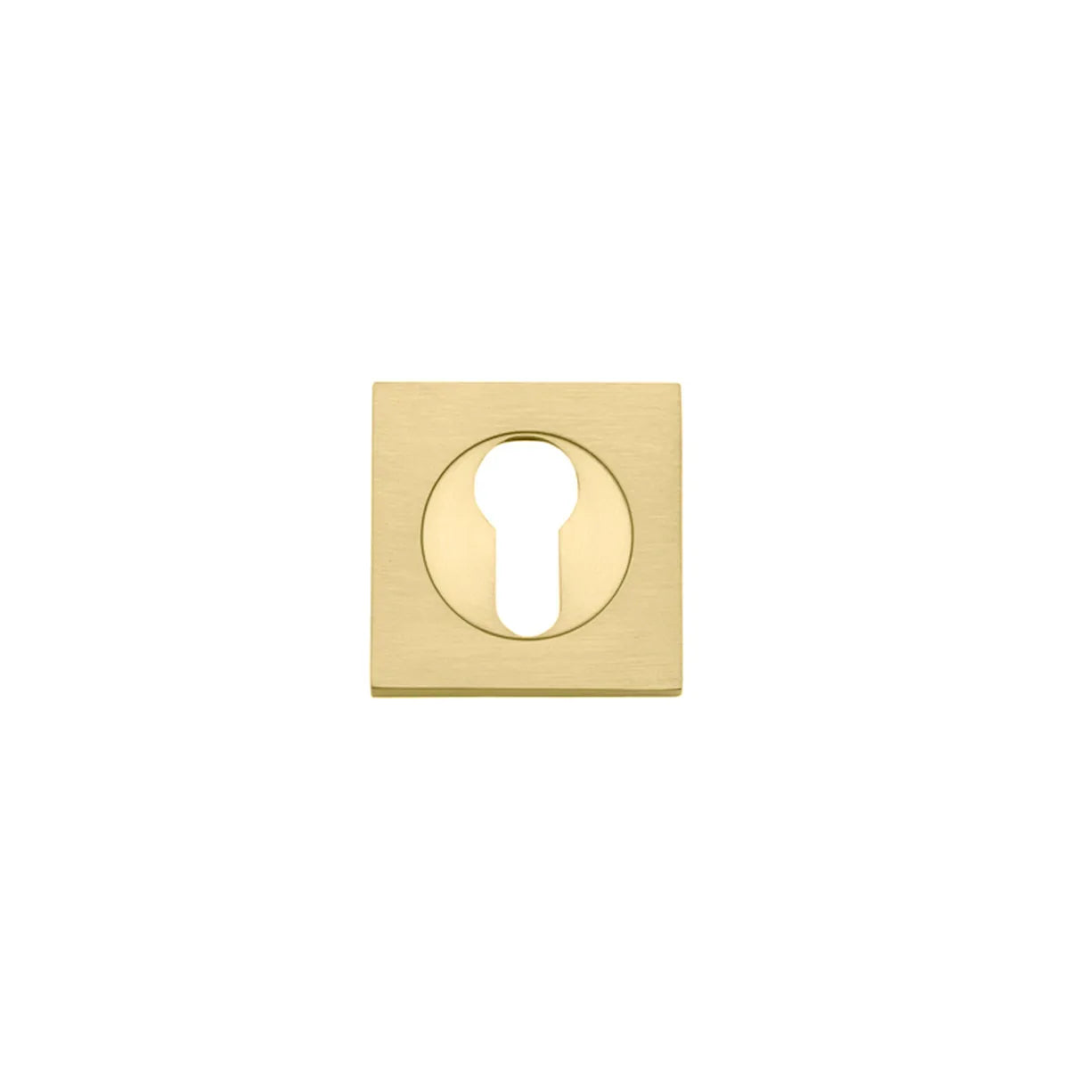 Euro Escutcheons - Square in Brushed Gold PVD - angled product view