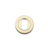 Oval Escutcheon - Round in Polished Brass - alternative product view