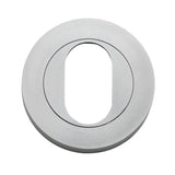 Oval Escutcheon - Round in Brushed Brass - angled product view