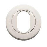 Oval Escutcheon - Round in Polished Nickel - finish and profile close-up