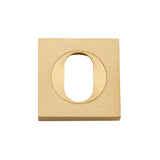 Oval Escutcheon - Square in Brushed Brass - front view