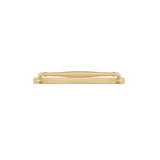 Sarlat Cabinet Pull with Backplate - CTC256mm