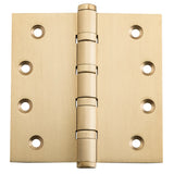 Ball Bearing Hinge - H100xW100mm
