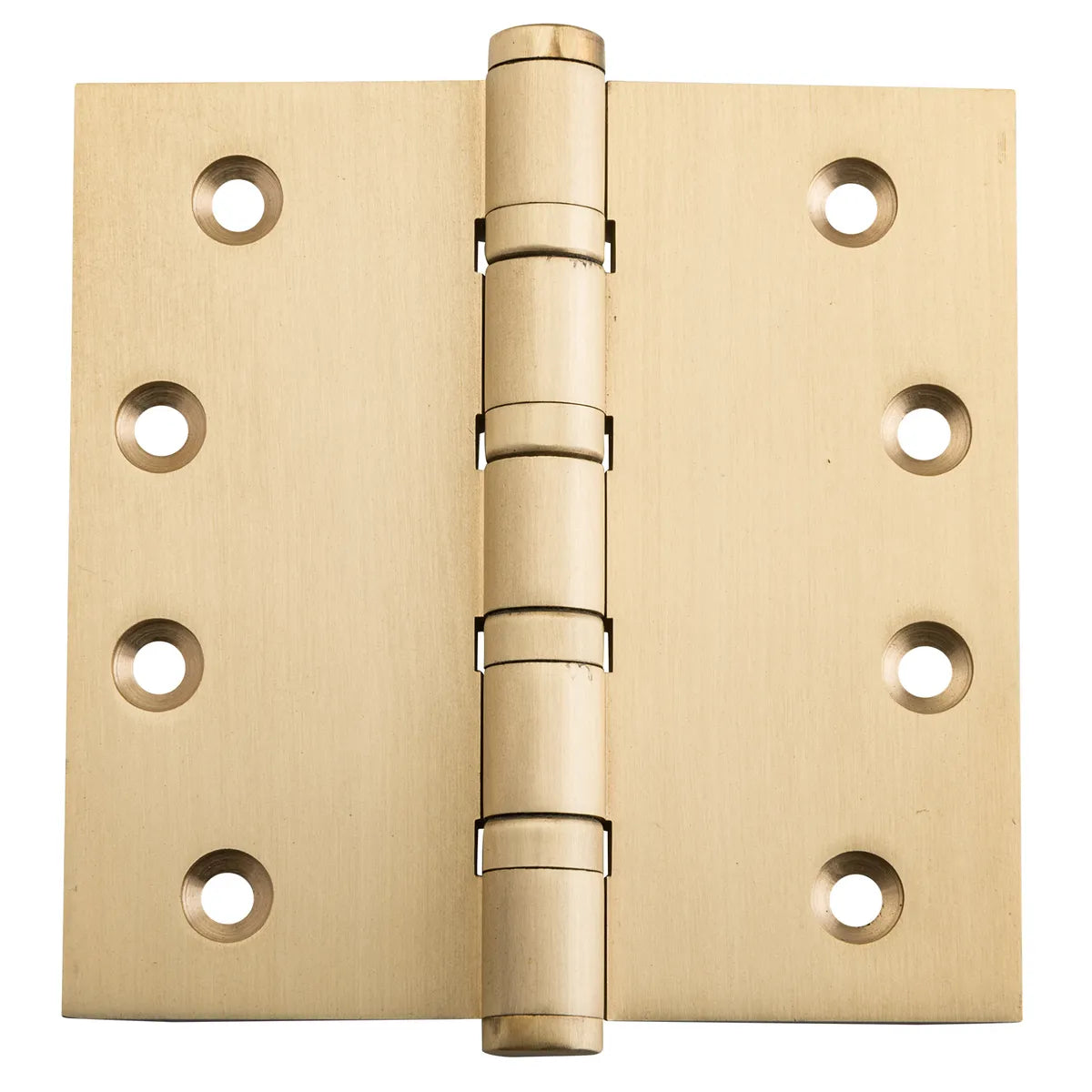 Ball Bearing Hinge - H100xW100mm