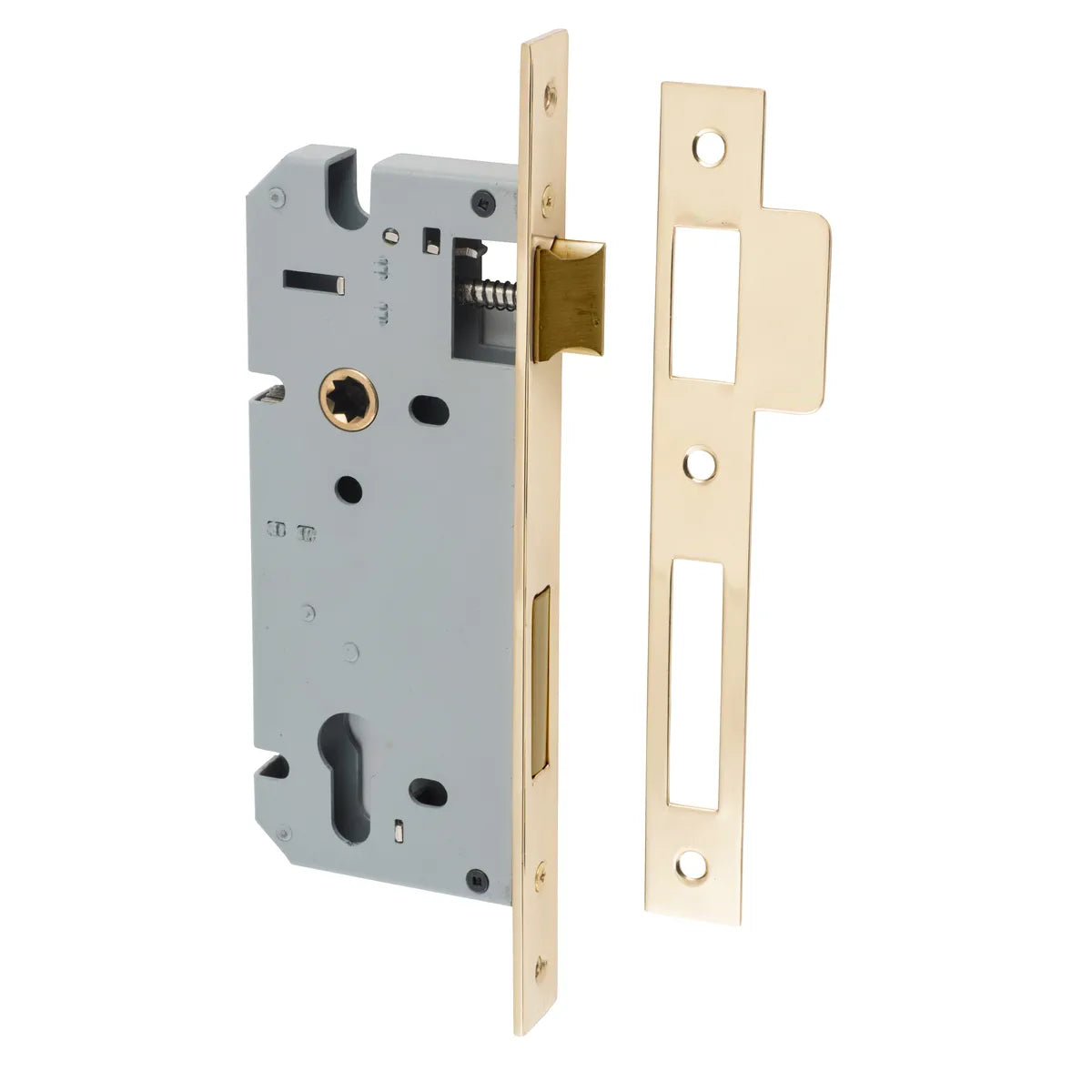 85mm Euro Mortice Locks - 45mm Backset in Polished Brass - rear mounting detail