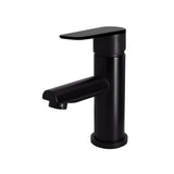 Round Paddle Basin Mixer