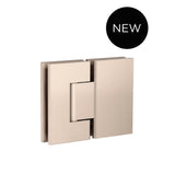Glass to Glass Shower Door Hinge
