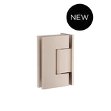 Glass to Wall Shower Door Hinge