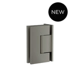 Glass to Wall Shower Door Hinge