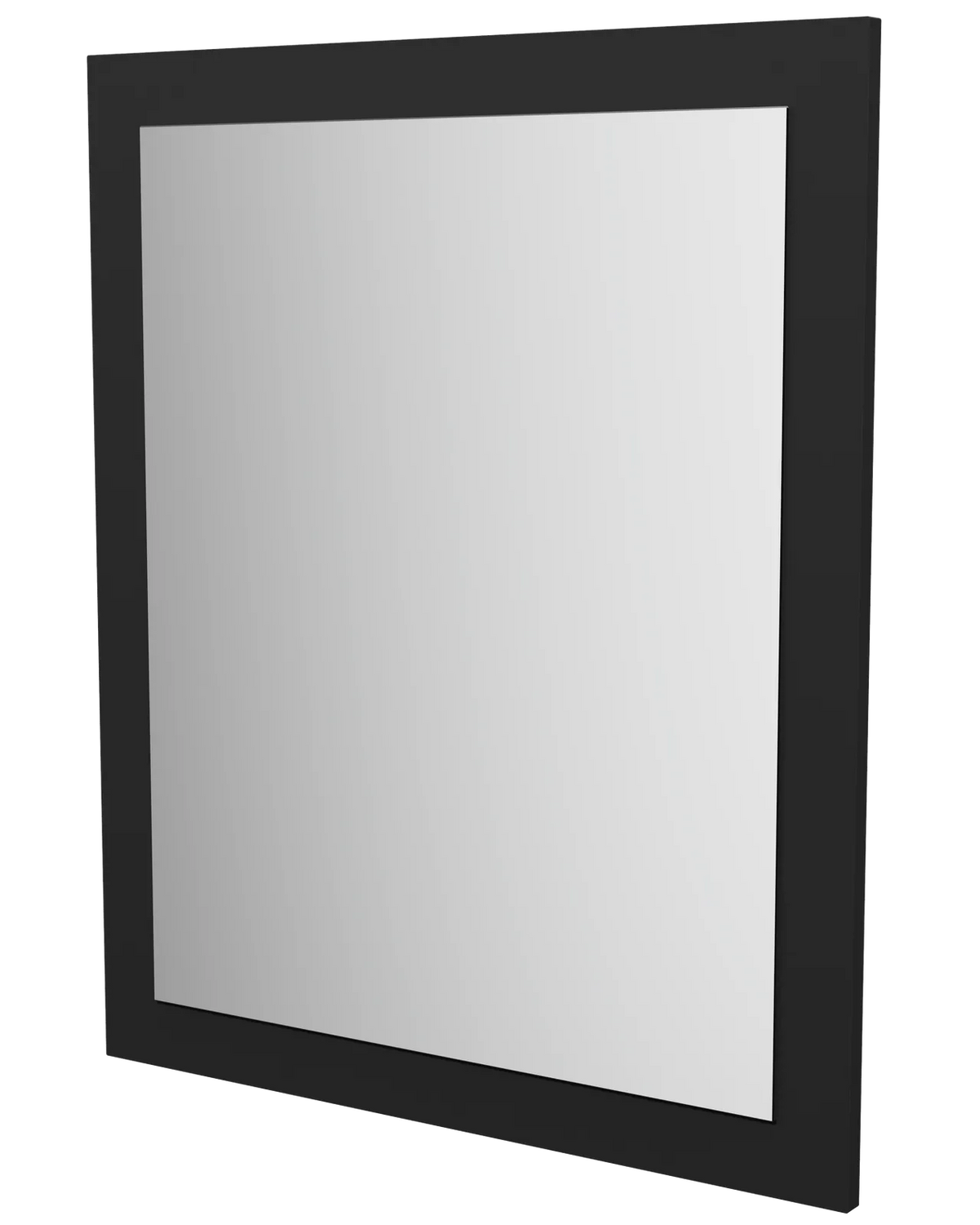 Timberline Miami Mirror