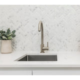 Round Gooseneck Kitchen Mixer Tap - Brushed Nickel