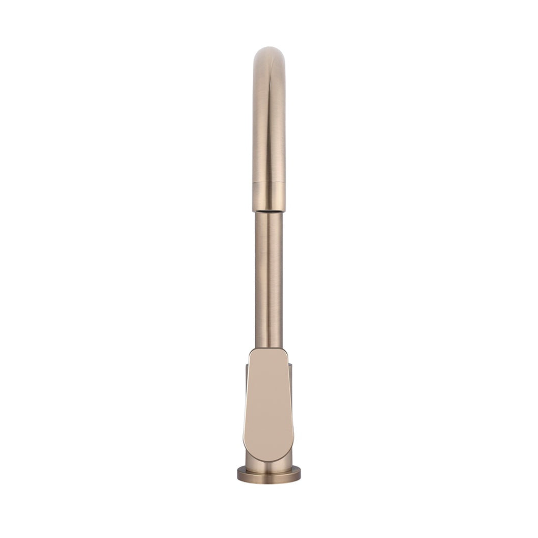 Round Paddle Gooseneck Kitchen Mixer Tap in Polished Chrome - angled product view