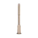 Round Paddle Gooseneck Kitchen Mixer Tap in Polished Chrome - angled product view