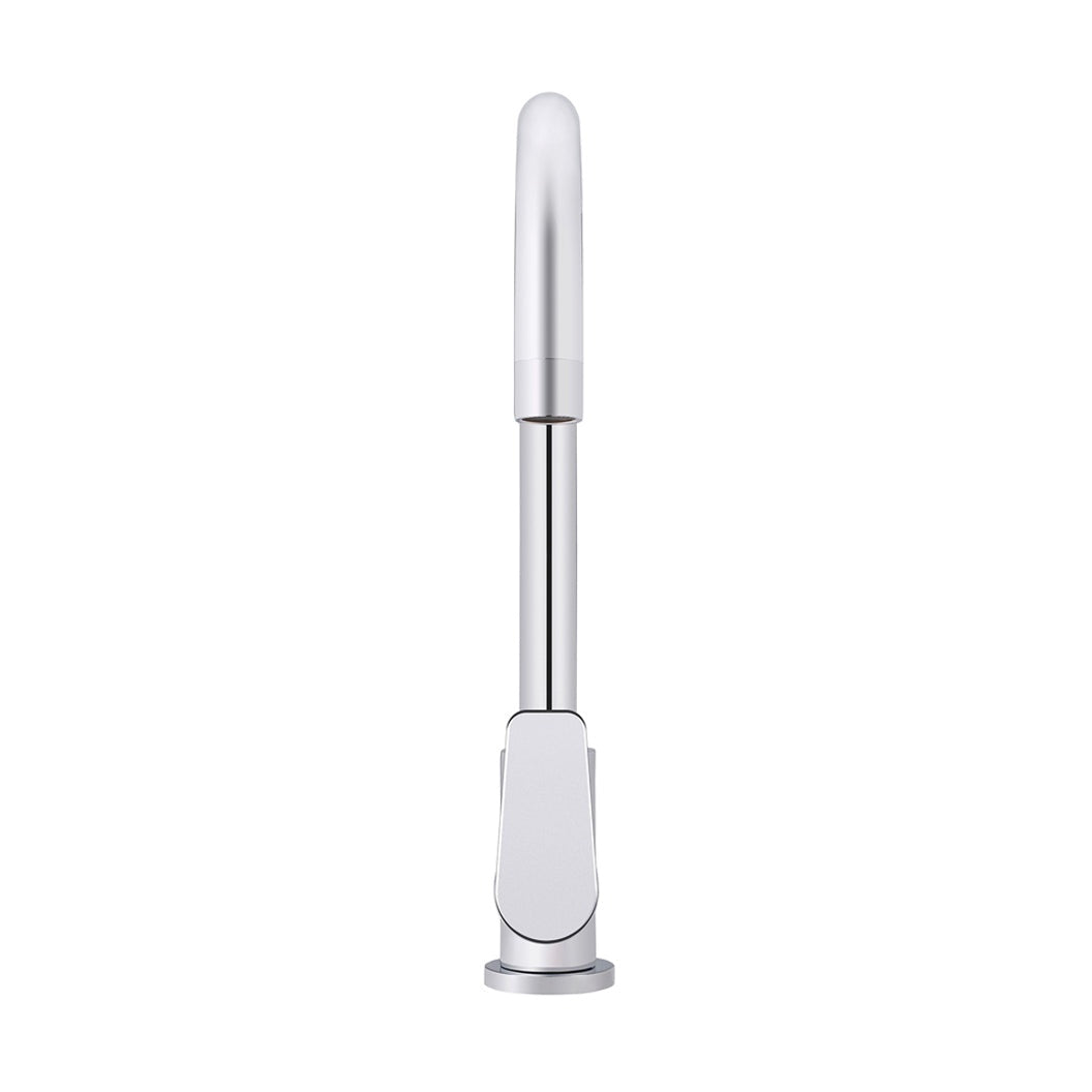 Round Paddle Gooseneck Kitchen Mixer Tap - finish and profile close-up
