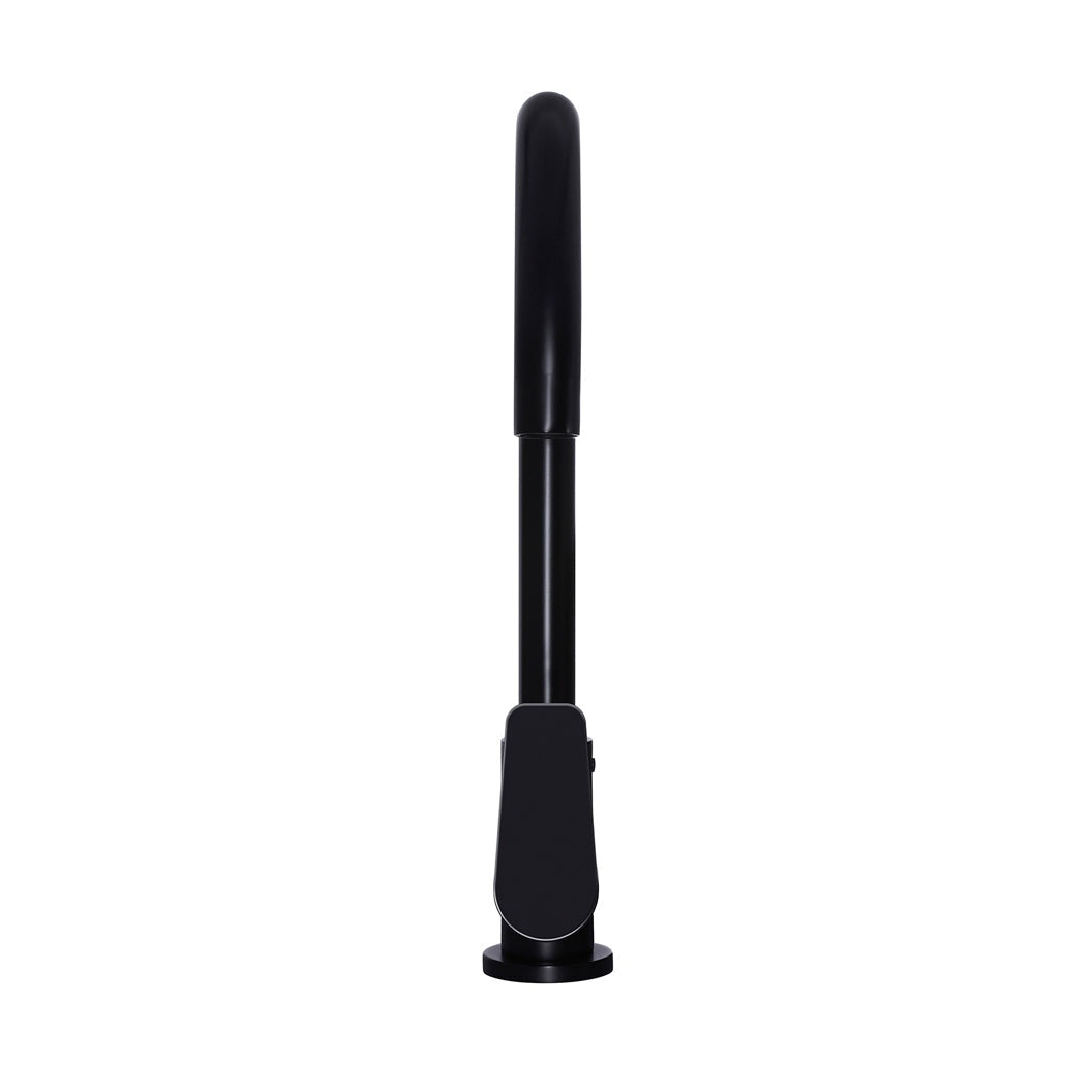 Round Paddle Gooseneck Kitchen Mixer Tap - close-up detail view