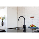 Round Paddle Gooseneck Kitchen Mixer Tap - Matte Black