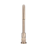 Round Pinless Gooseneck Kitchen Mixer Tap - Champagne