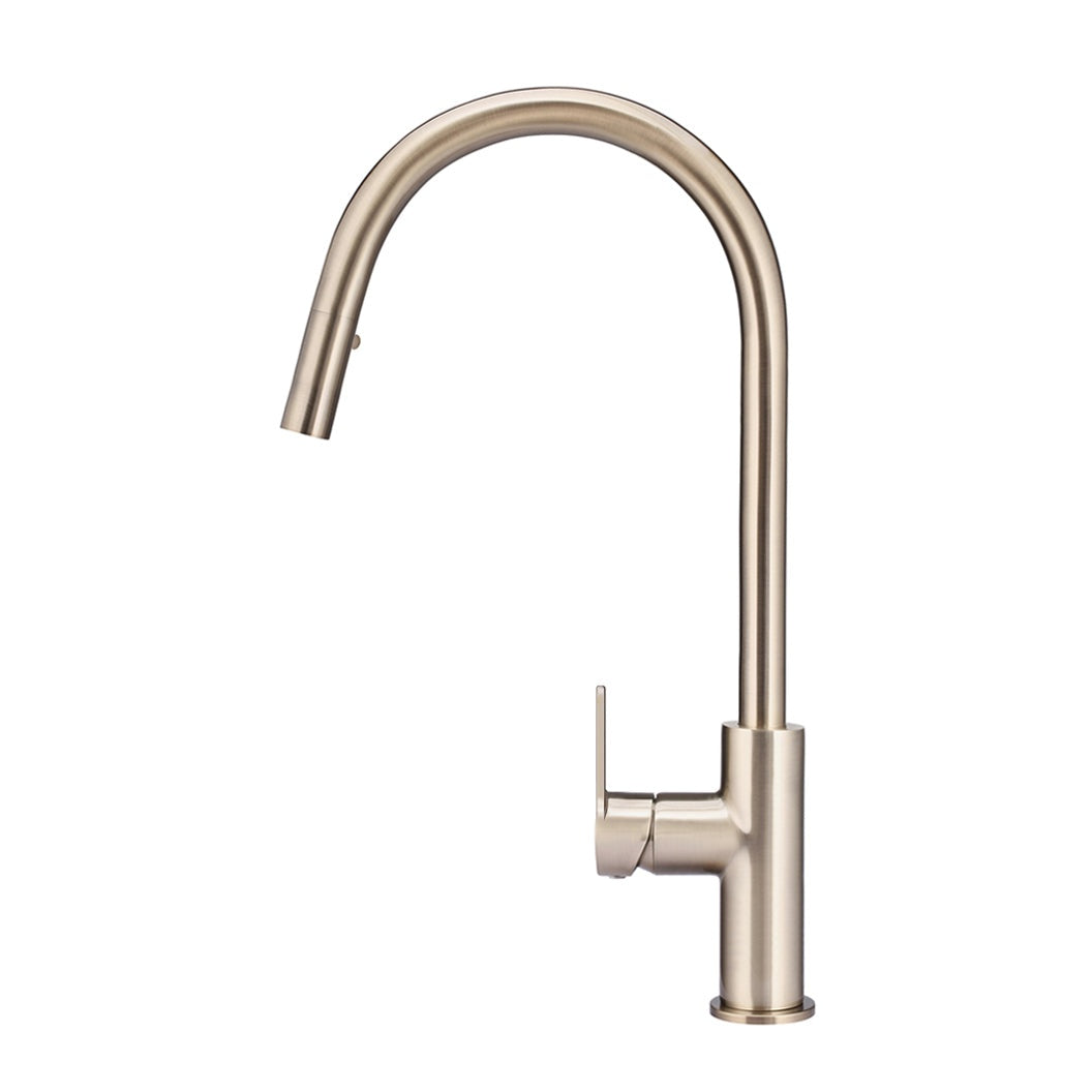 Round Paddle Piccola Pull Out Kitchen Mixer Tap - Champagne