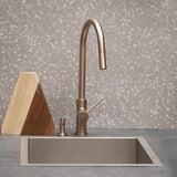 Round Paddle Piccola Pull Out Kitchen Mixer Tap - Champagne