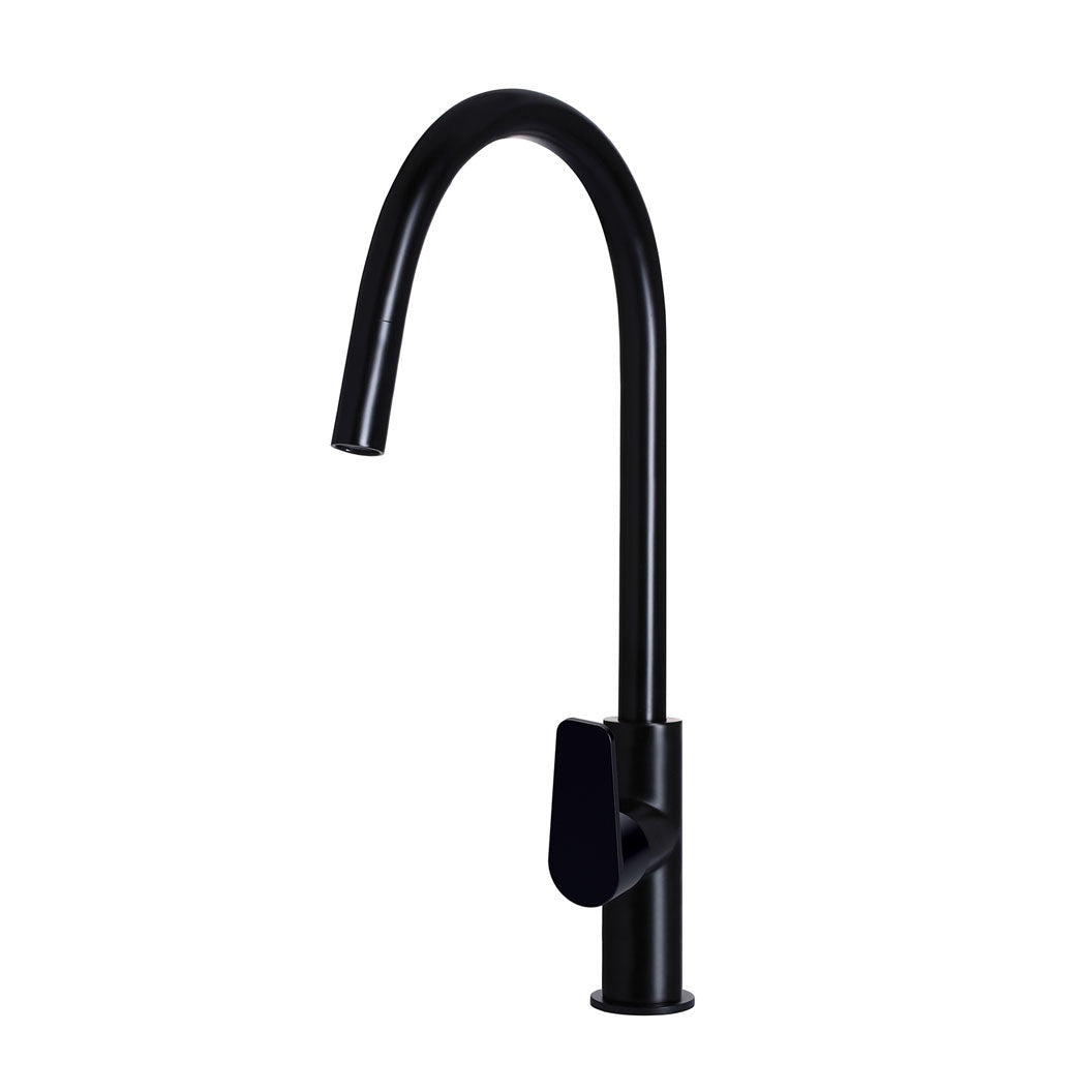 Round Paddle Piccola Pull Out Kitchen Mixer Tap - front view