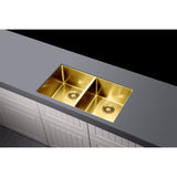 Kitchen Sink Double Bowl 760 x 440 - close-up detail view