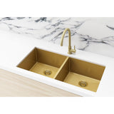 Kitchen Sink Double Bowl 860 x 440 - close-up detail view