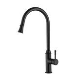 Montpellier Pull-Out Kitchen Mixer