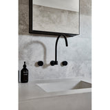 Round High-Rise Swivel Wall Spout - full product view