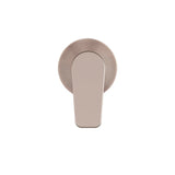 Round Wall Mixer Paddle Handle Finish Kit - Champagne