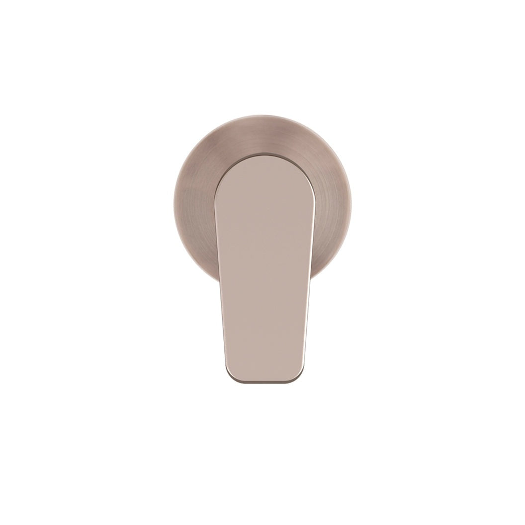 Round Wall Mixer Paddle Handle Finish Kit - Champagne