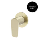 Round Wall Mixer Paddle Handle Finish Kit