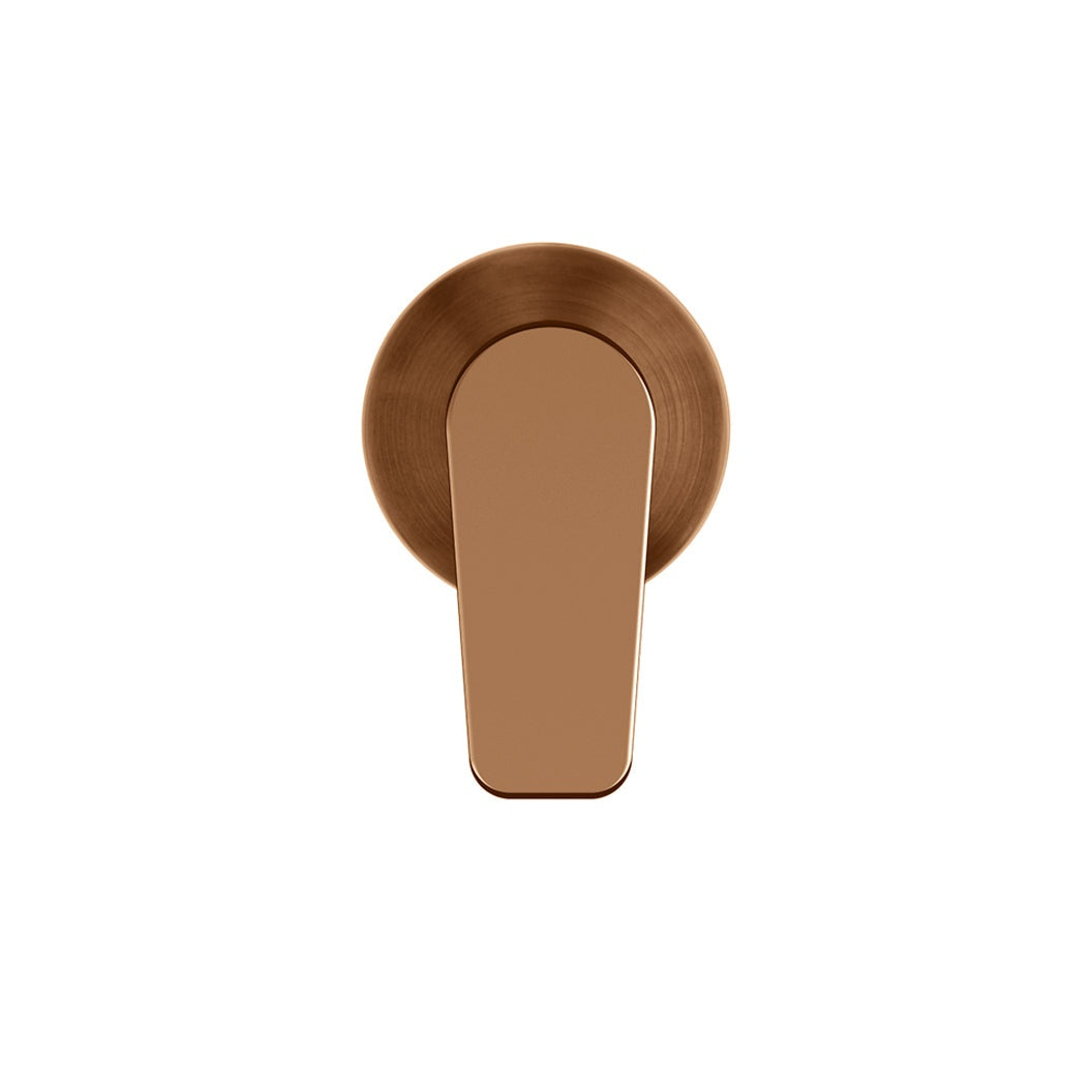 Round Wall Mixer Paddle Handle Finish Kit in Tiger Bronze - close-up detail view