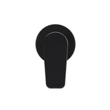 Round Wall Mixer Paddle Handle Finish Kit - close-up detail view