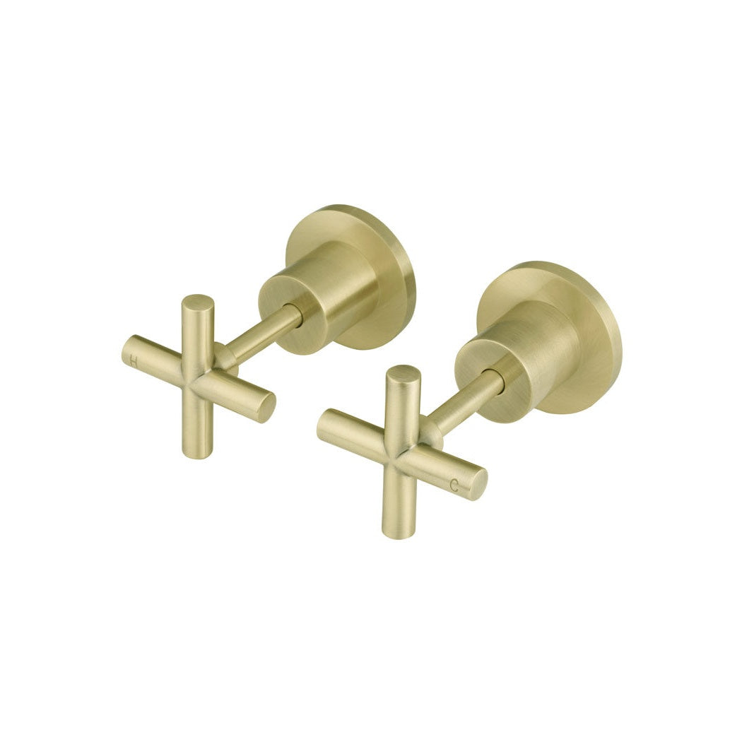 Cross Handle Jumper Valve Wall Top Assemblies