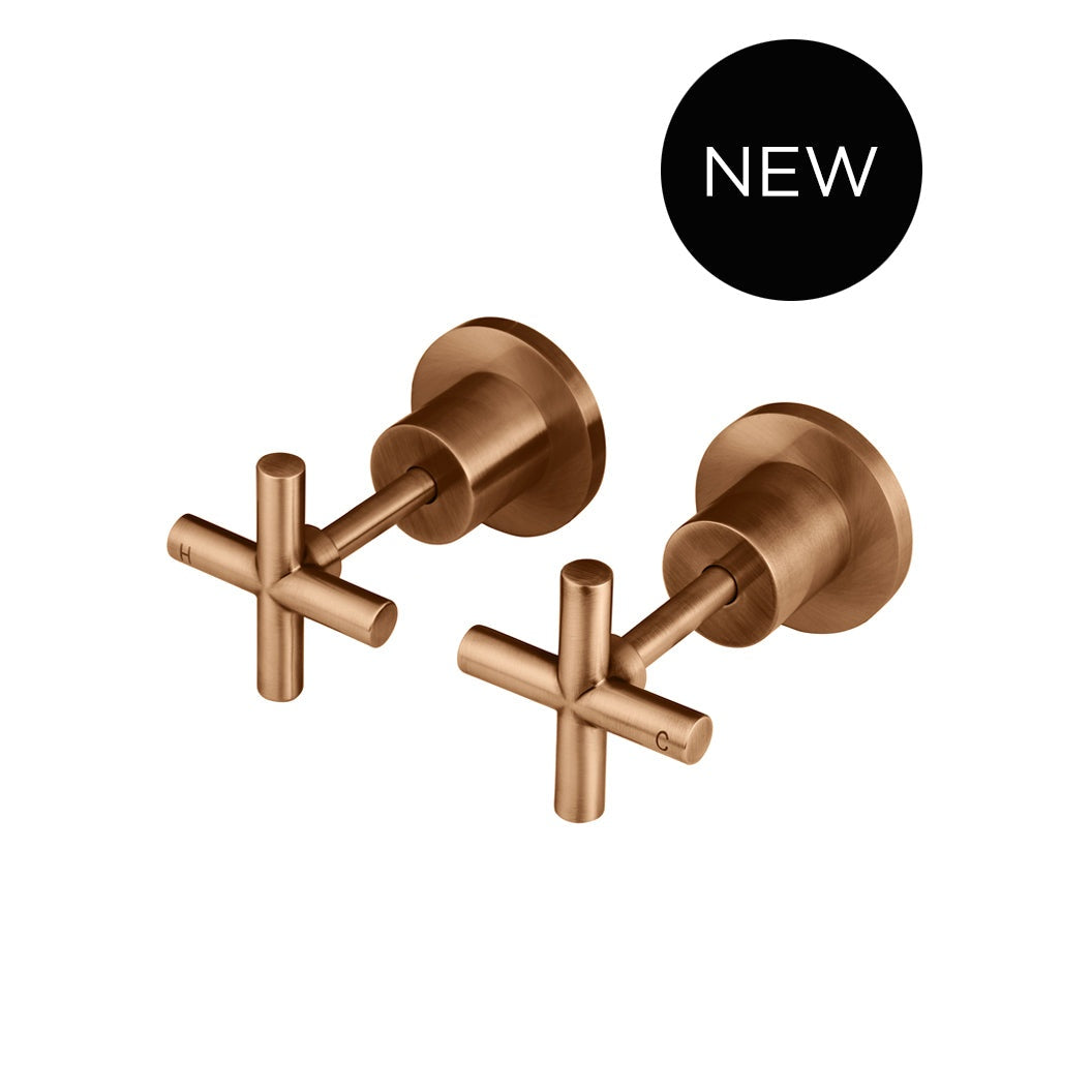 Cross Handle Jumper Valve Wall Top Assemblies