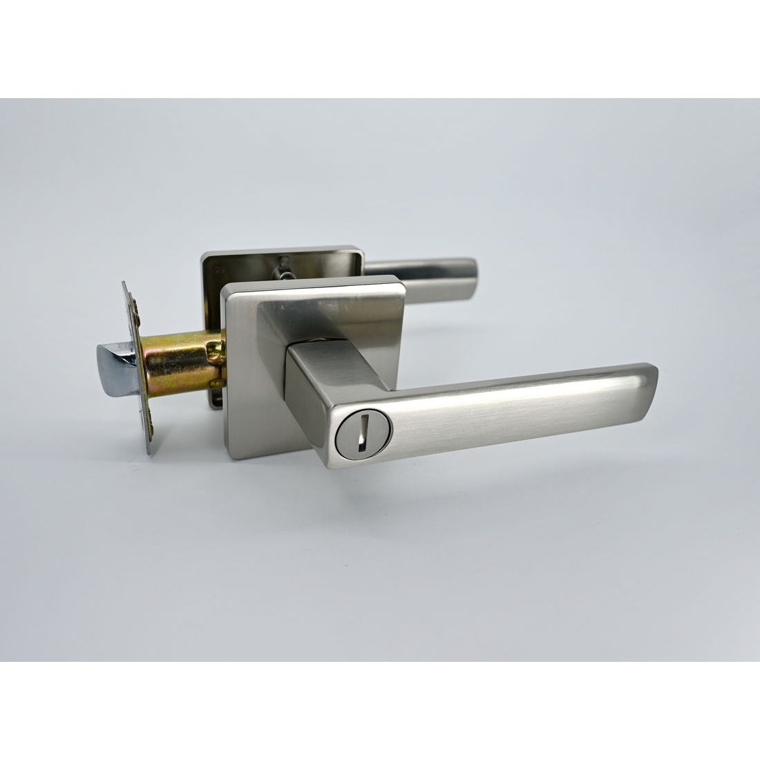 Parisa Satin Nickel - Privacy